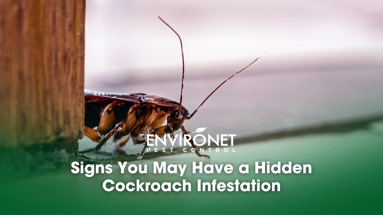 a cockroach secretly crawling inside 