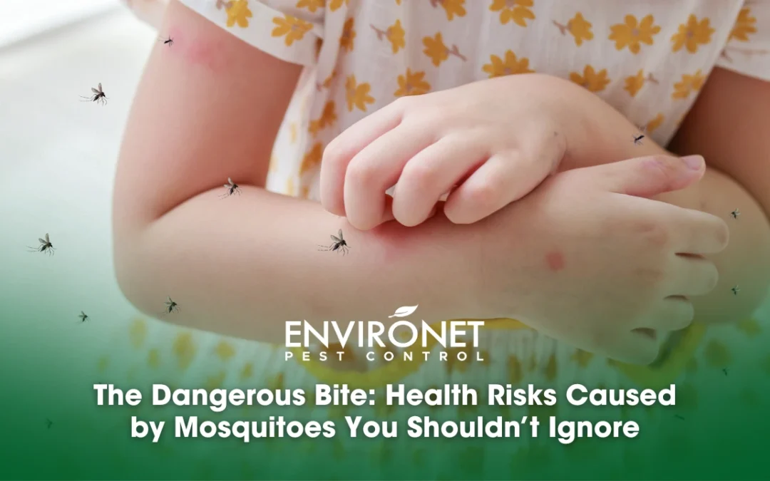 The Dangerous Bite: Health Risks Caused by Mosquitoes You Shouldn’t Ignore