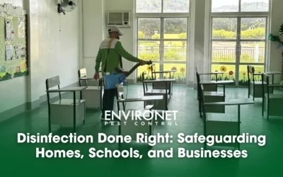Disinfection Done Right: Safeguarding Homes, Schools, and Businesses