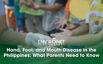 Hand, Foot, and Mouth Disease in the Philippines: What Parents Need to Know