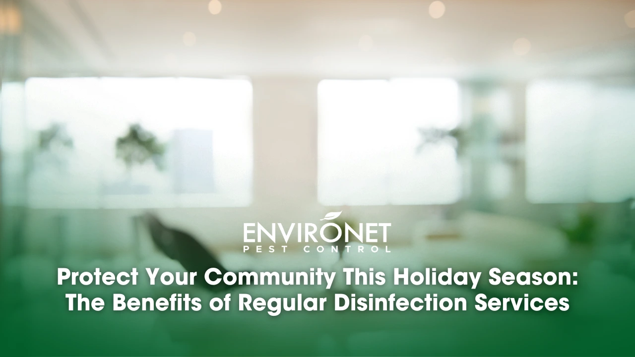 holiday season cleaning for your workplaces, schools, or homes.