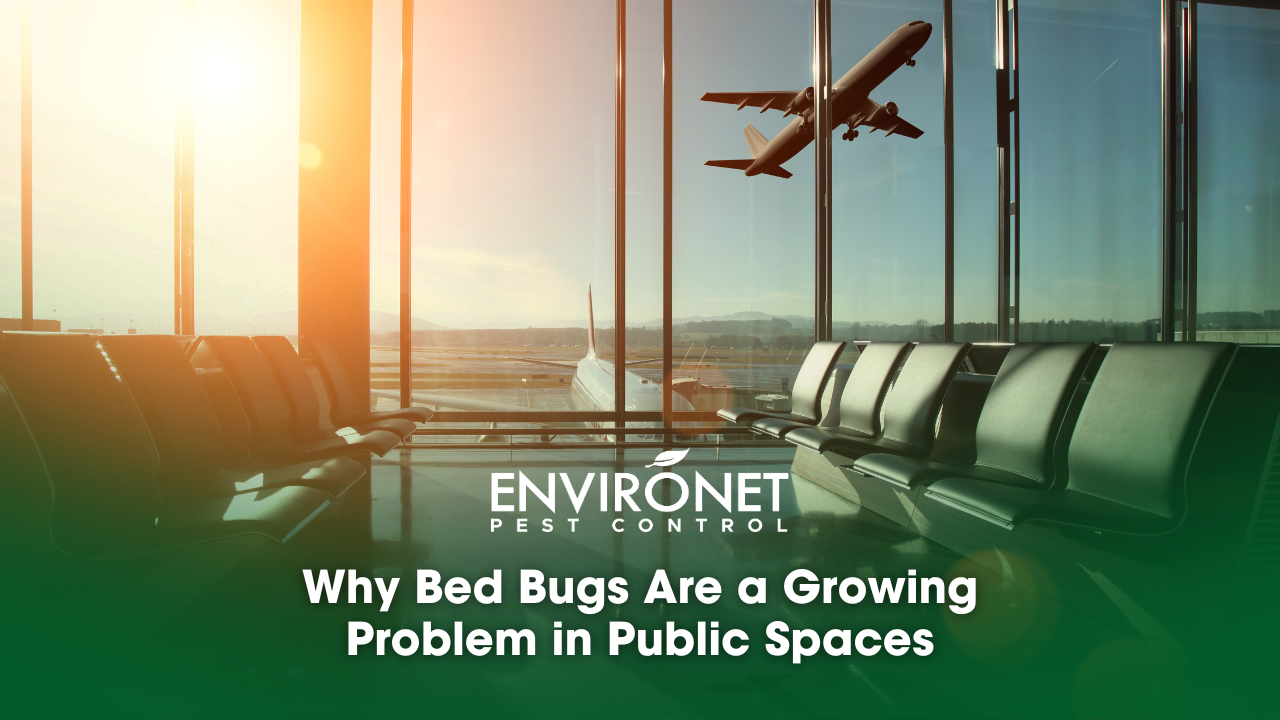airport as a public place