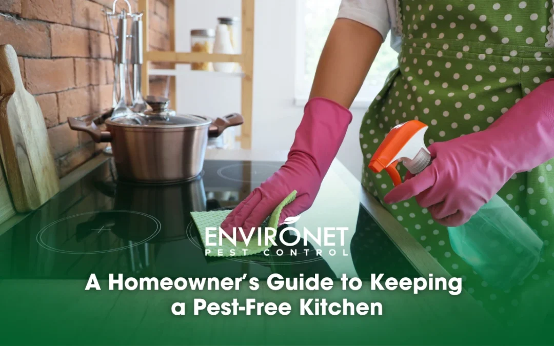 A Homeowner’s Guide to Keeping a Pest-Free Kitchen