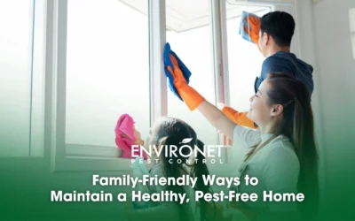 Family-Friendly Ways to Maintain a Healthy, Pest-Free Home