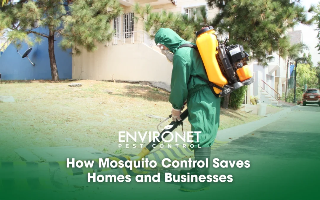 How Mosquito Control Saves Homes and Businesses