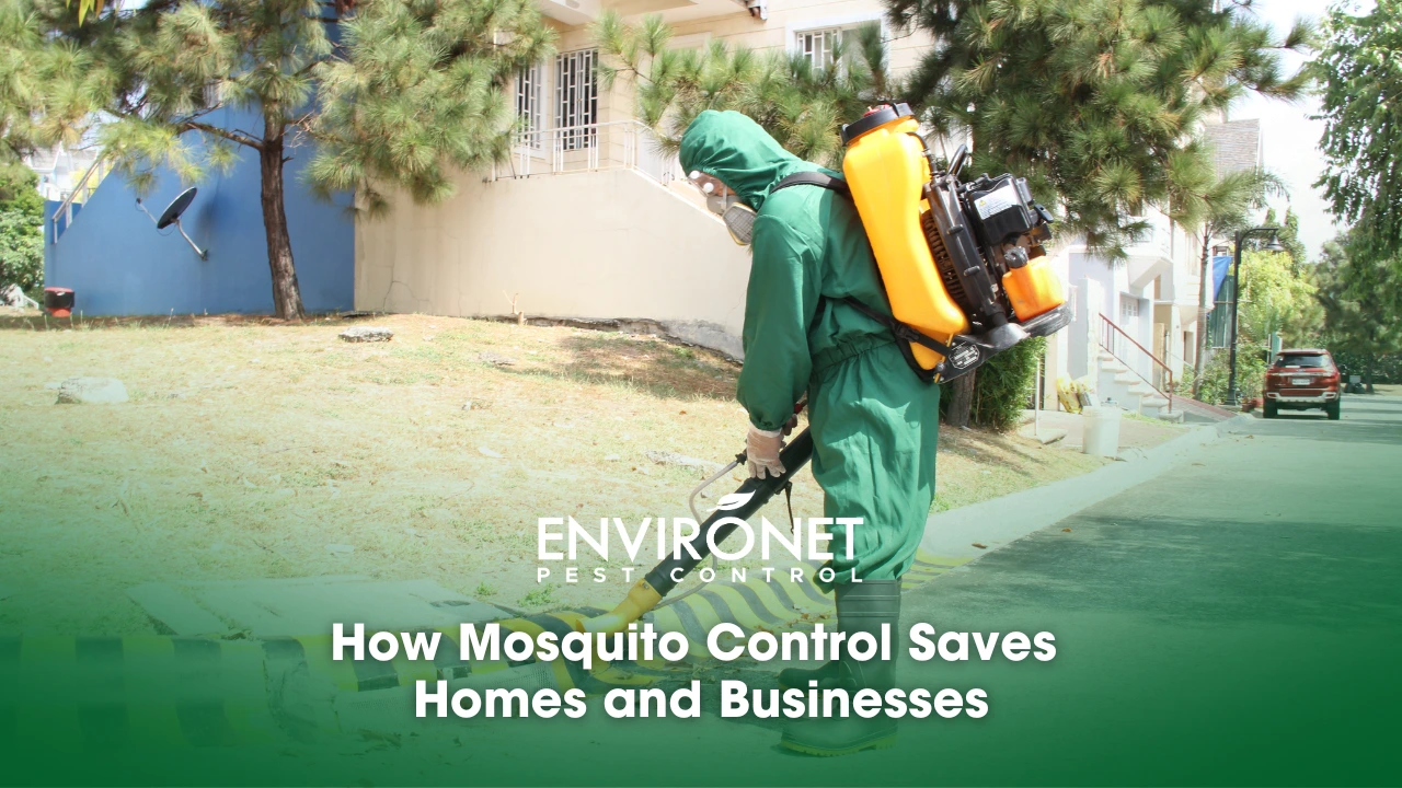 a technician doing outdoor misting under mosquito control