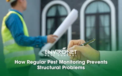 How Regular Pest Monitoring Prevents Structural Problems