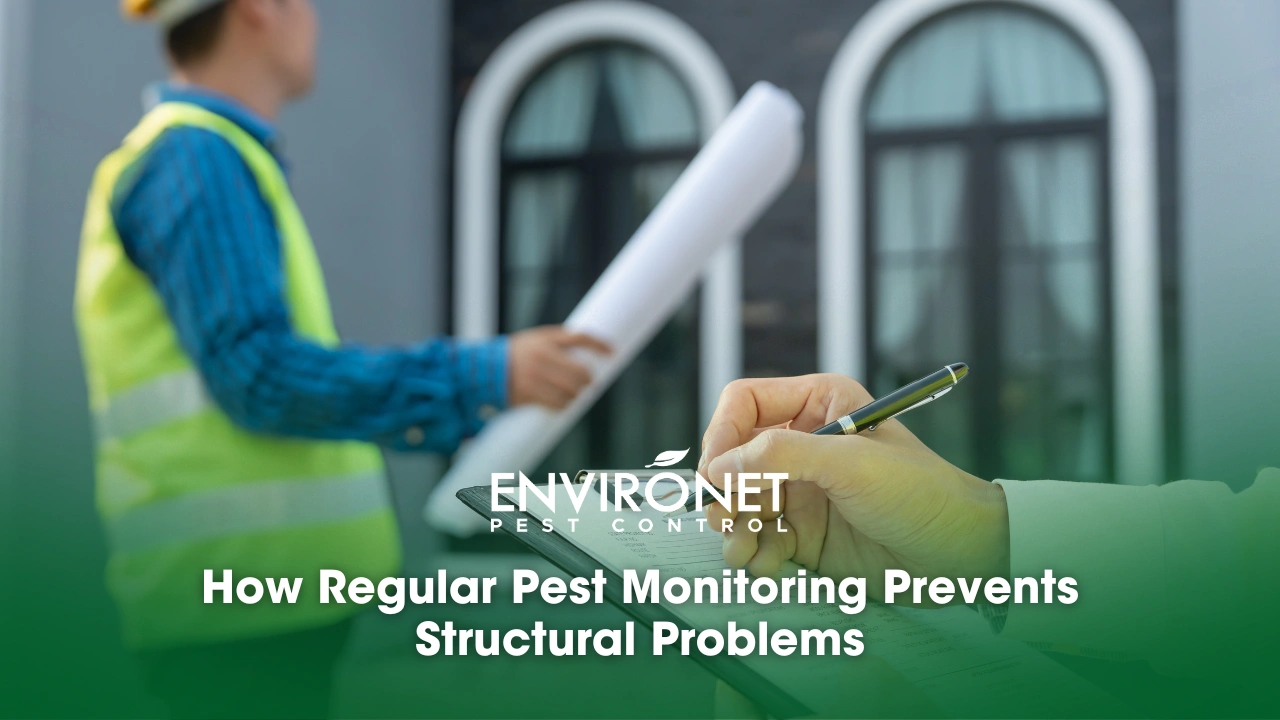 engineers monitoring structural integrity