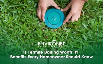 Is Termite Baiting Worth It? Benefits Every Homeowner Should Know