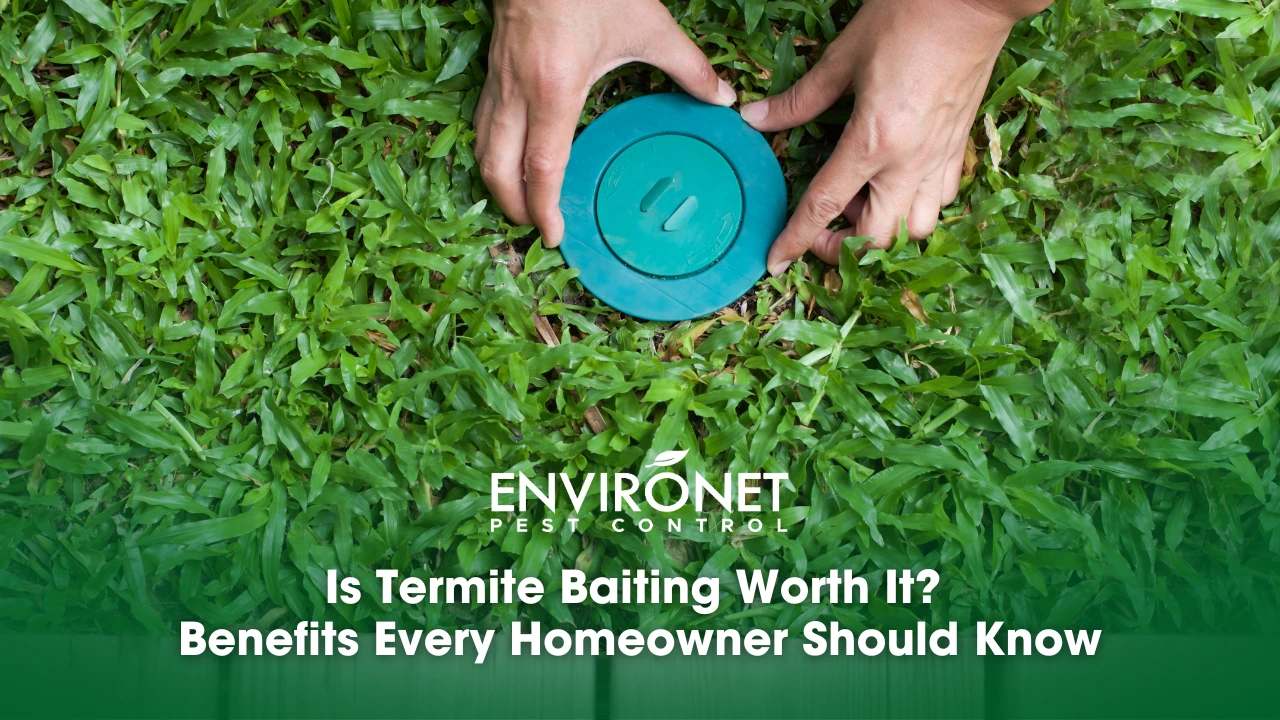 a technician hands installing a termite baiting system