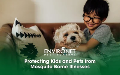 Protecting Kids and Pets from Mosquito‑Borne Illnesses