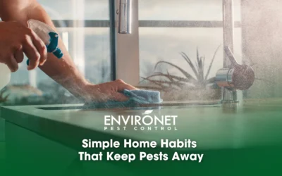 Simple Home Habits That Keep Pests Away