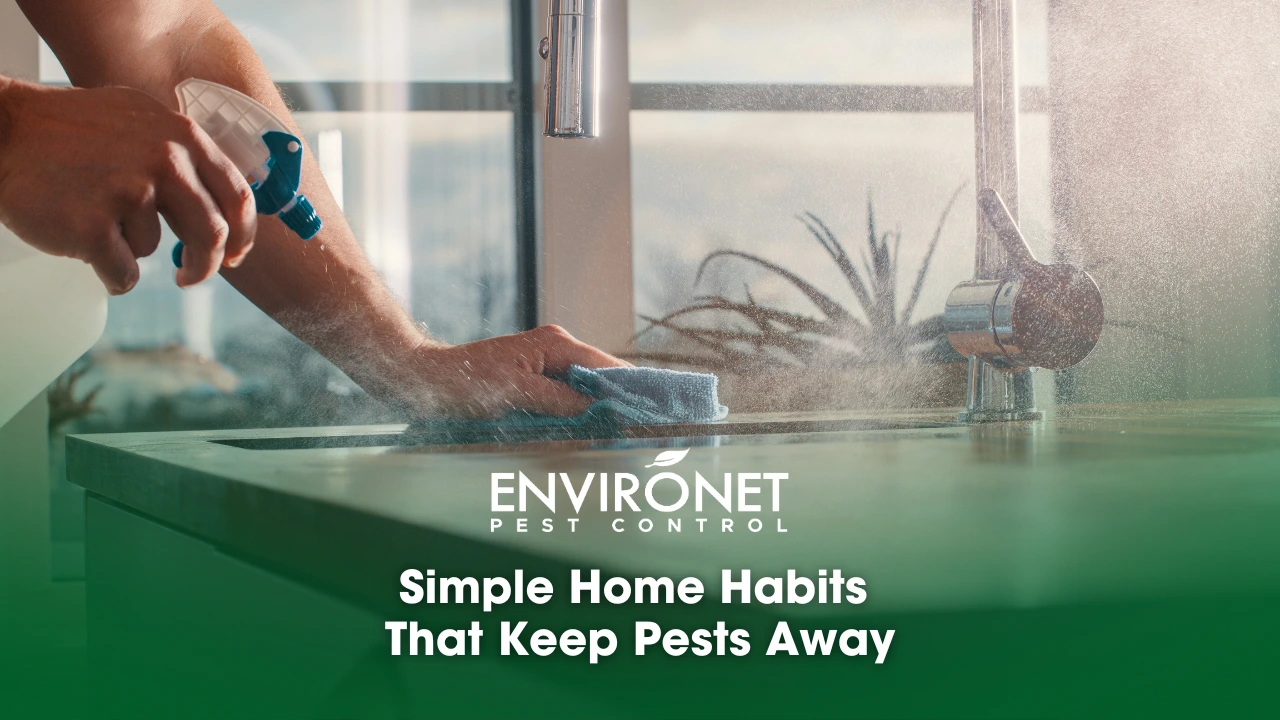 Cleaning a counter top