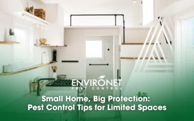 Small Home, Big Protection: Pest Control Tips for Limited Spaces