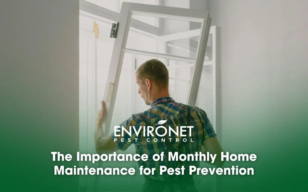The Importance of Monthly Home Maintenance for Pest Prevention