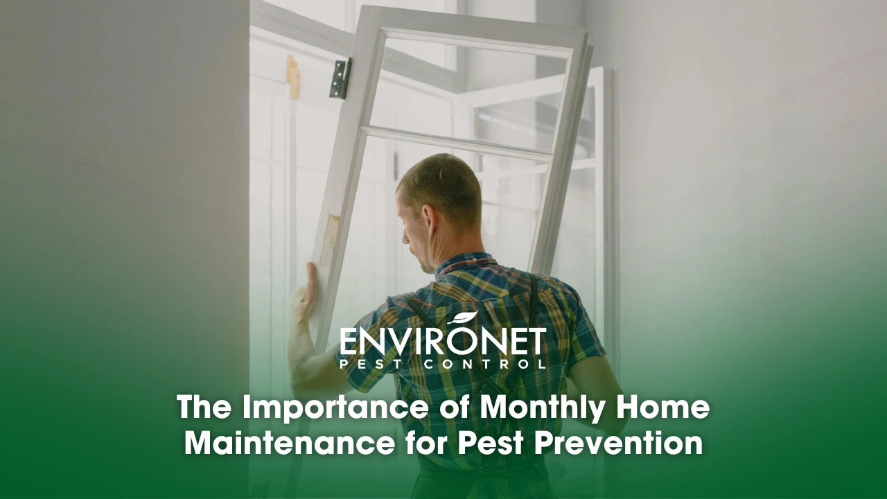 a man fixing the window