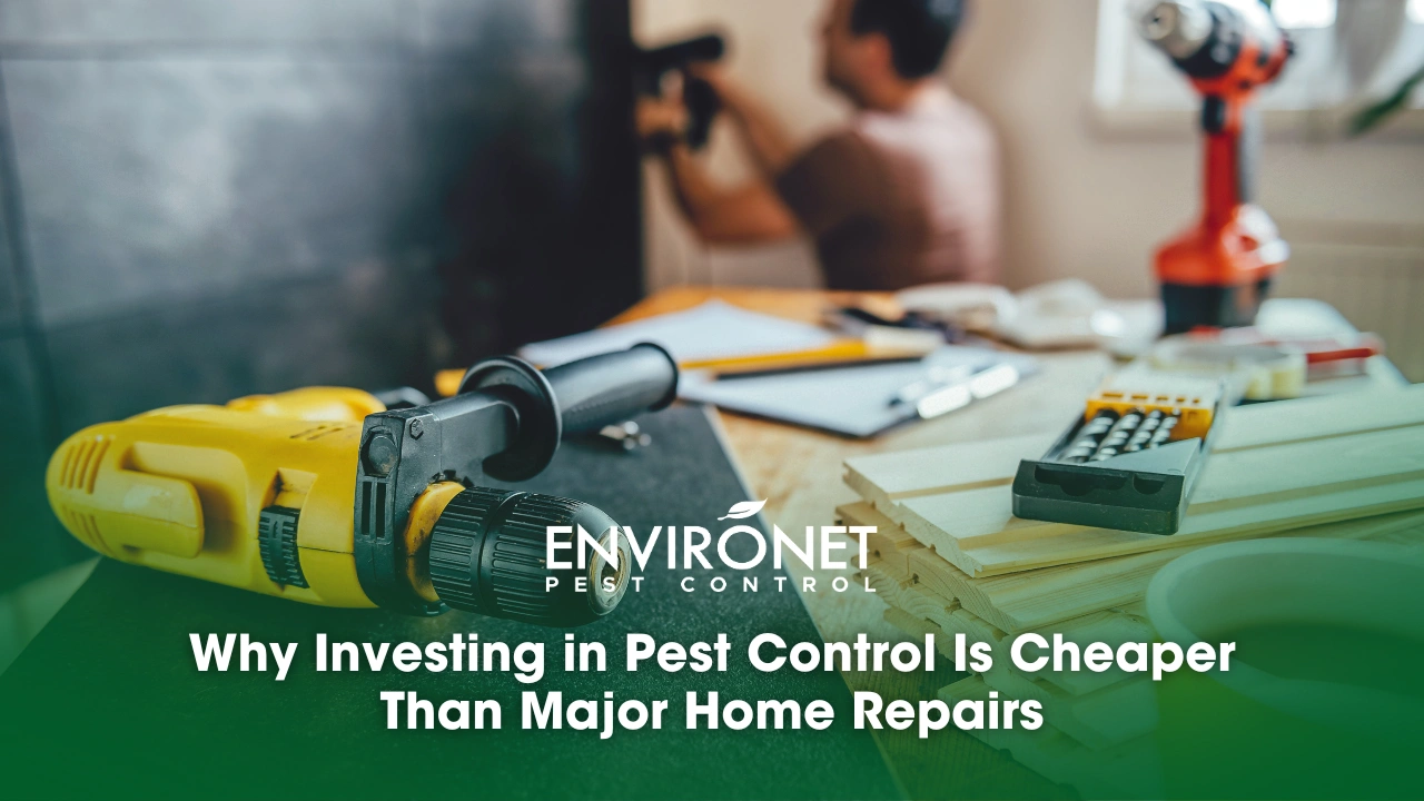 a man repairing a wall