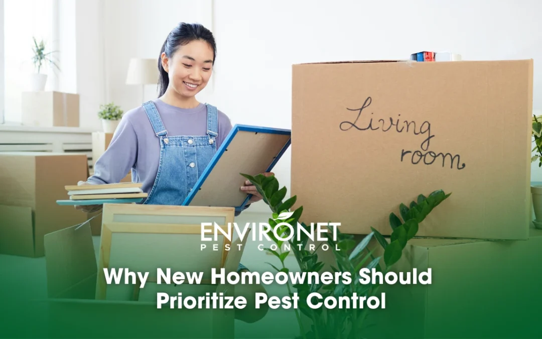 Why New Homeowners Should Prioritize Pest Control