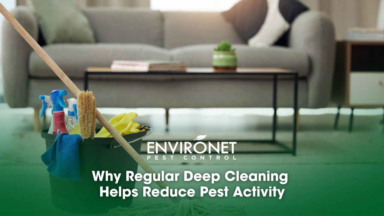 cleaning materials inside the house