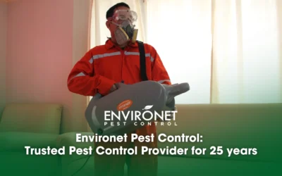 Trusted Pest Control Provider for 25 years