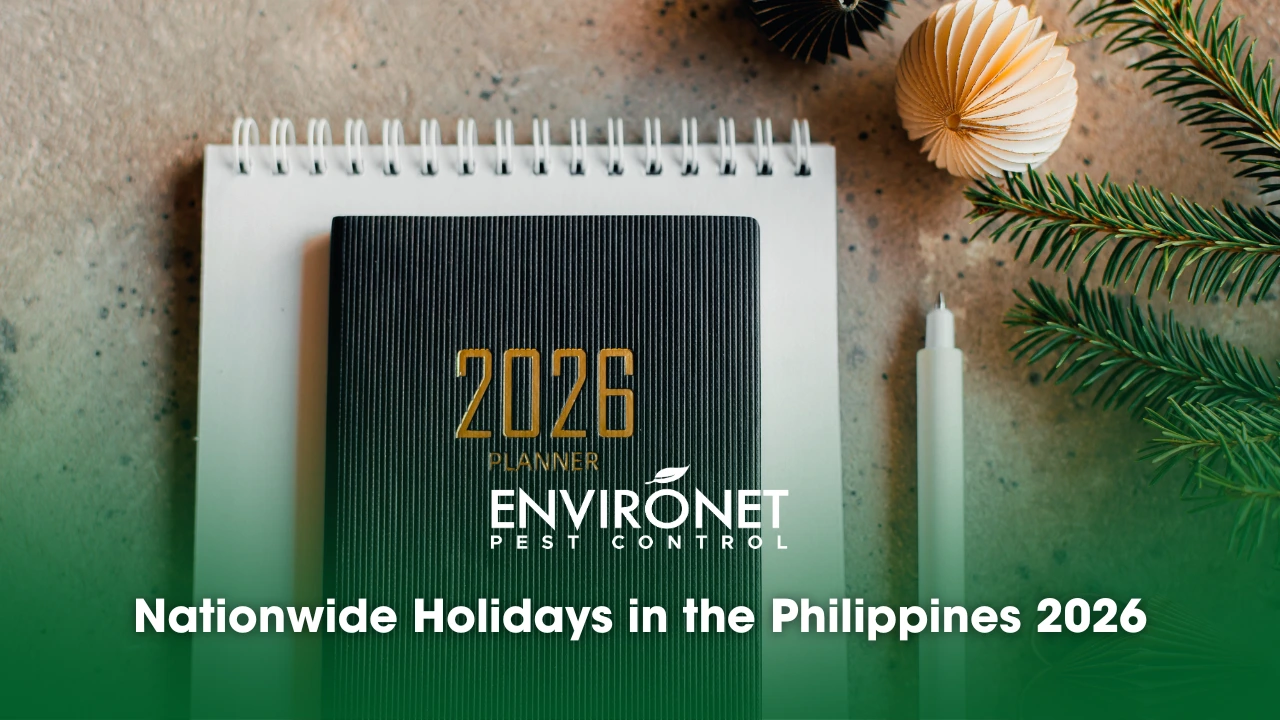 a calendar and a planner