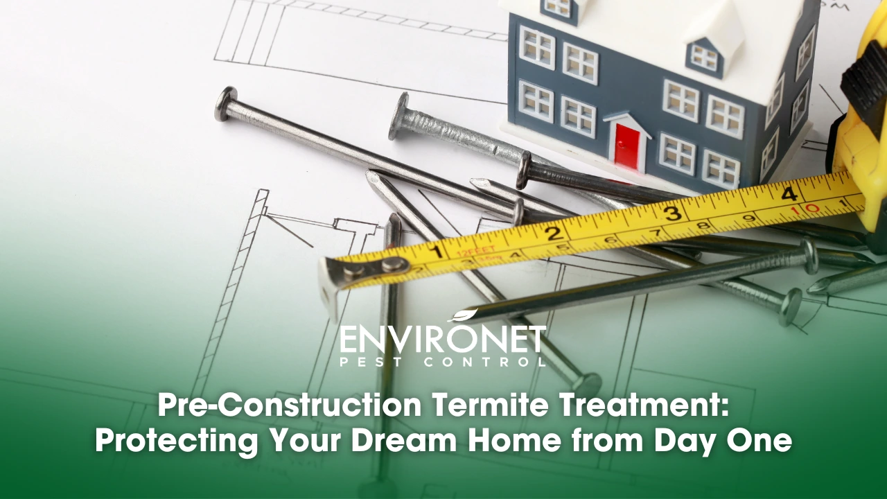 pre-construction treatment for homes