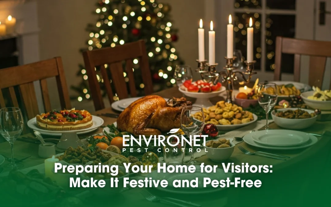 Preparing Your Home for Visitors: Make It Festive and Pest-Free