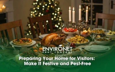 Preparing Your Home for Visitors: Make It Festive and Pest-Free