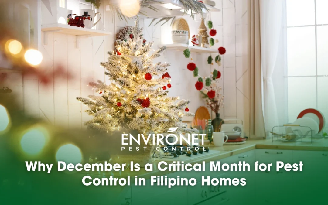 Why December Is a Critical Month for Pest Control in Filipino Homes
