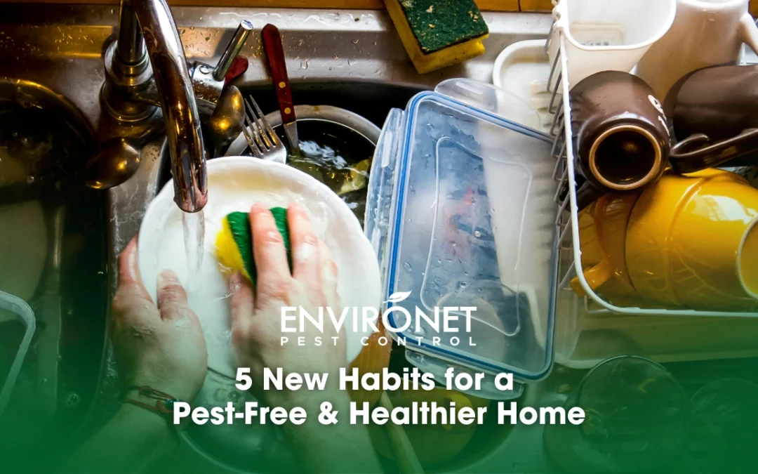 5 New Habits for a Pest-Free & Healthier Home