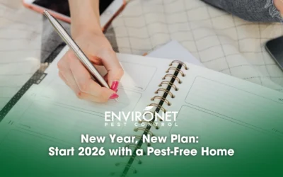 New Year, New Plan: Start 2026 with a Pest-Free Home