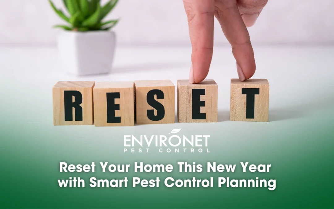 Reset Your Home This New Year with Smart Pest Control Planning