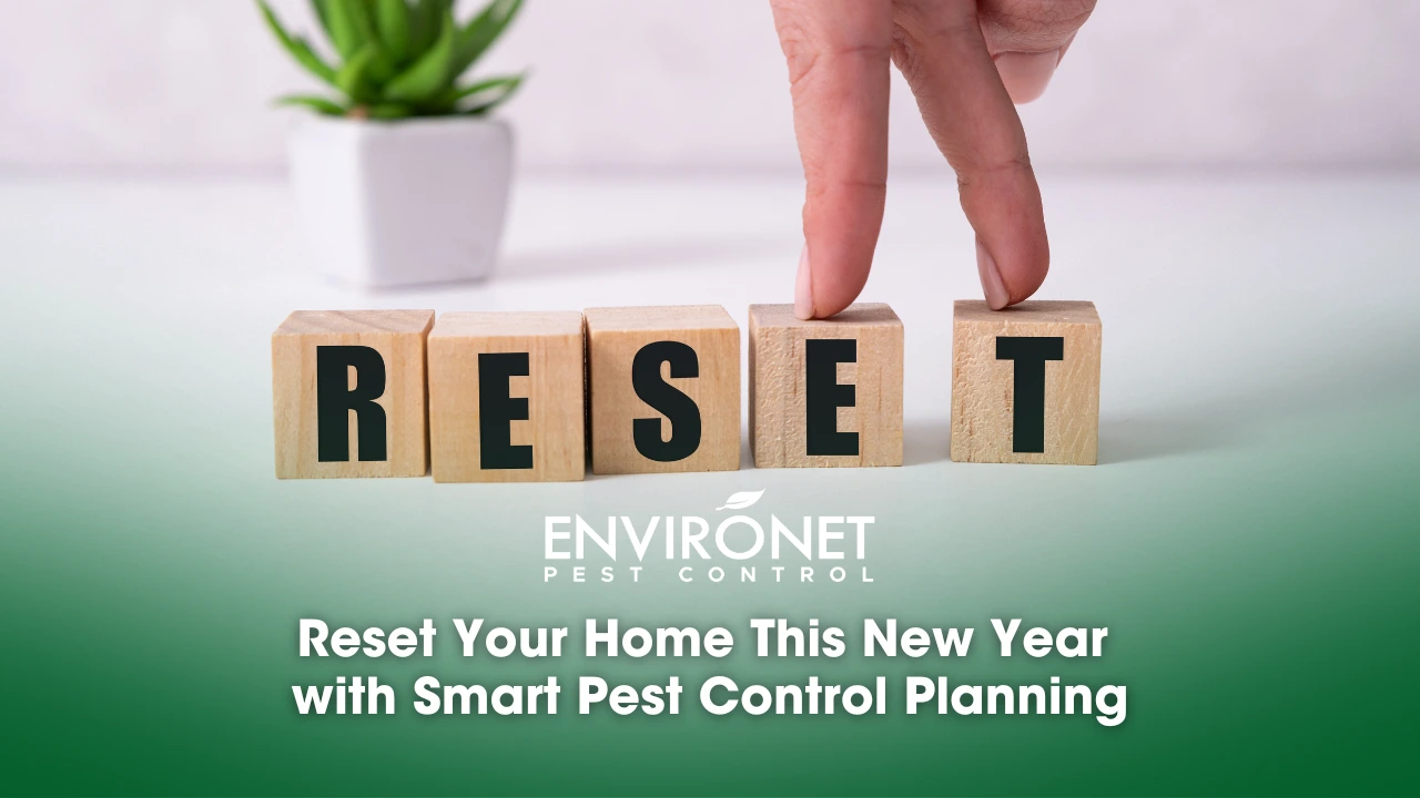 New Year home reset with effective smart pest control planning for a pest-free environment. 