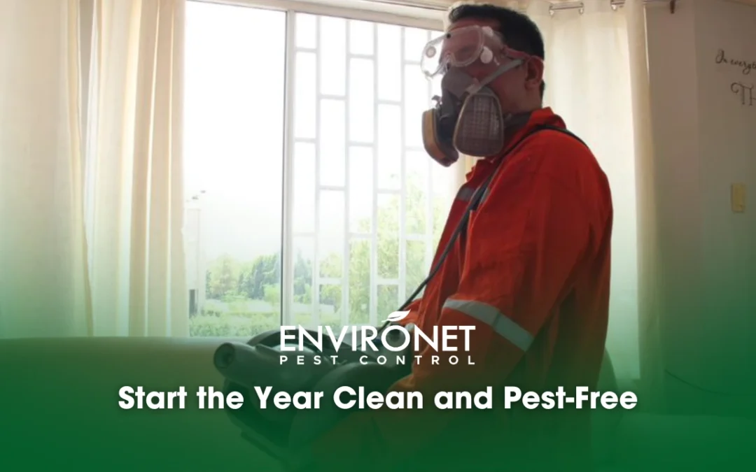 Start the Year Clean and Pest-Free for a Space