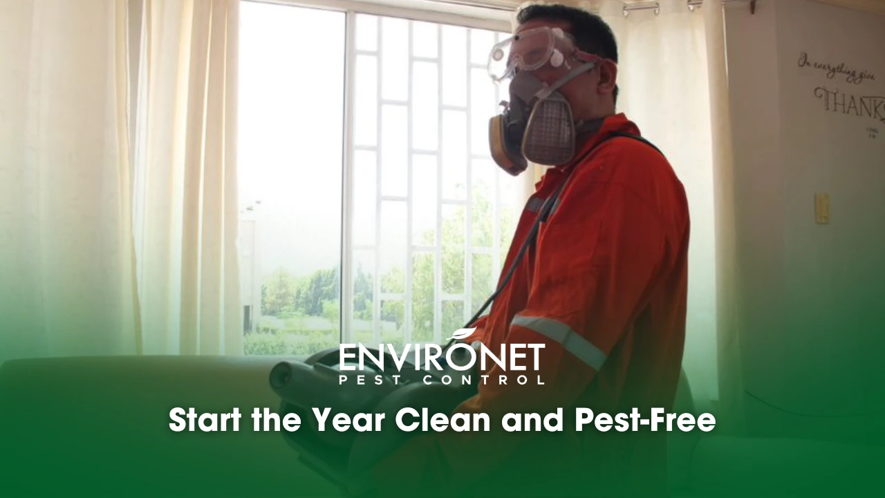 a technician doing a pest control treatment 