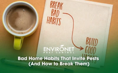 Bad Home Habits That Invite Pests (And How to Break Them)