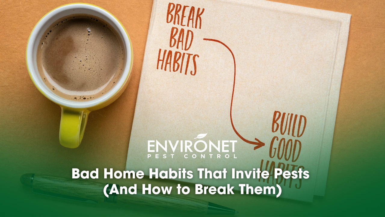 coffee and a note about breaking bad habits