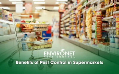 Benefits of Pest Control in Supermarkets