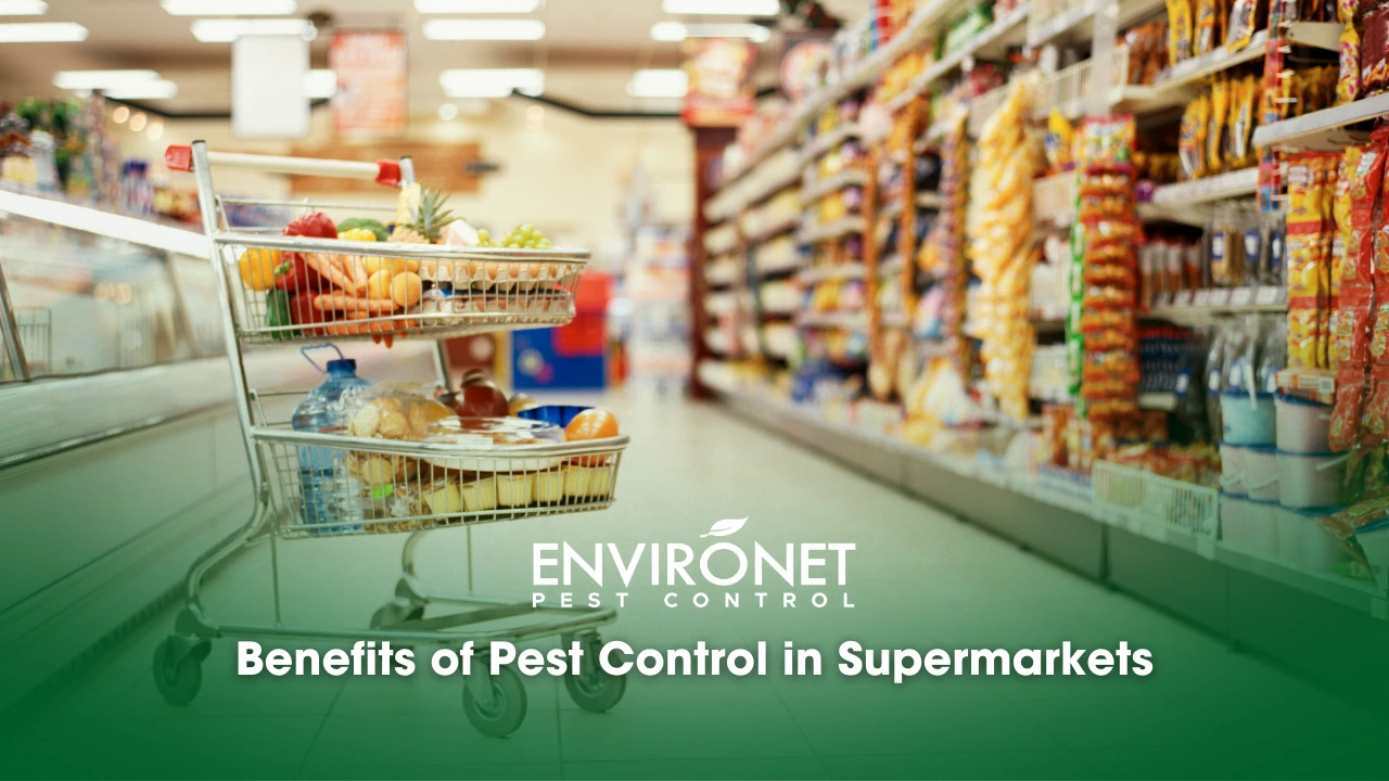 a trolly in a supermarket for the Benefits of Pest Control in Supermarkets