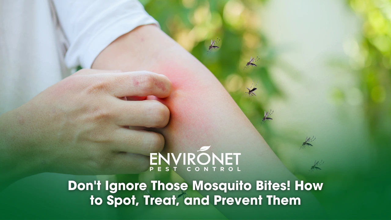 man itching and scratching on arm from allergy skin rash cause by mosquito bites due to dengue outbreak