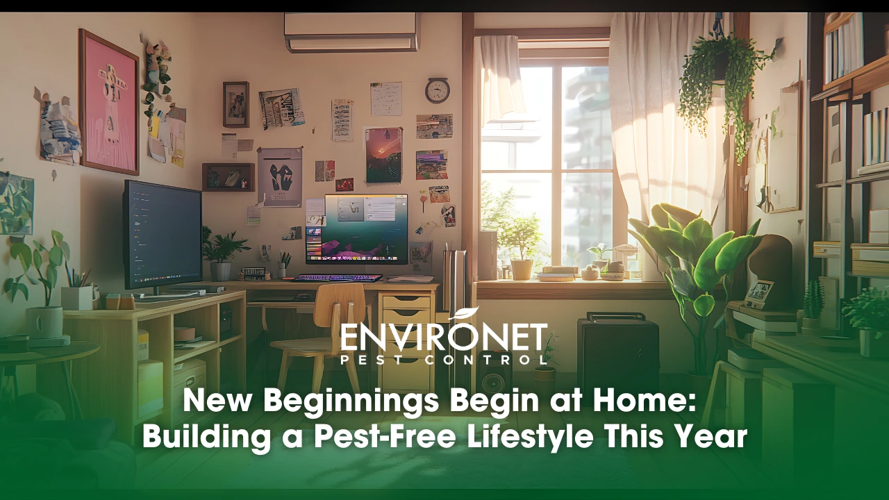 a beautiful, clean, organized room