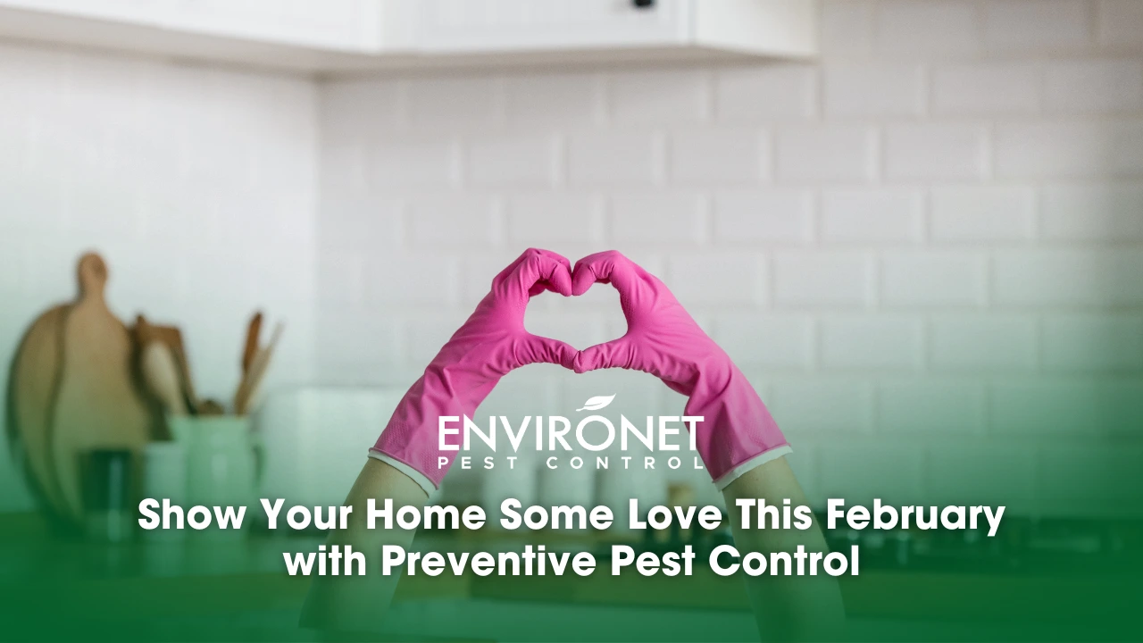 Heart made of pink protective gloves on white kitchen background