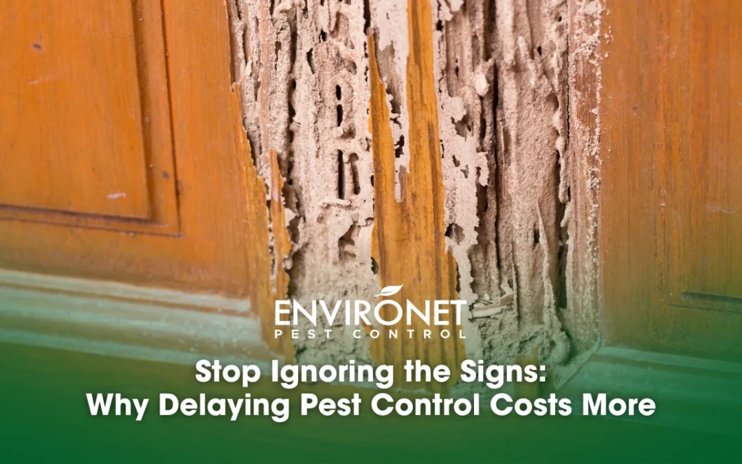 Stop Ignoring the Signs: Why Delaying Pest Control Costs More