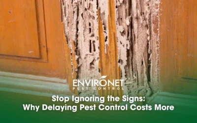 Stop Ignoring the Signs: Why Delaying Pest Control Costs More