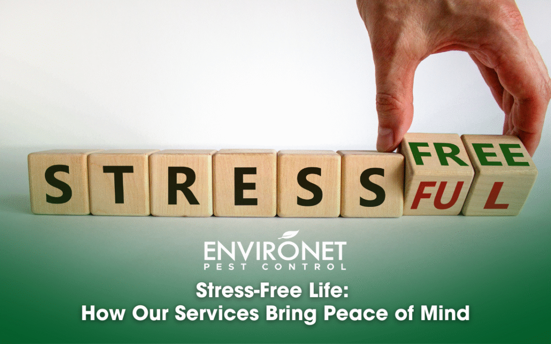 Stress-Free Life: How Our Services Bring Peace of Mind
