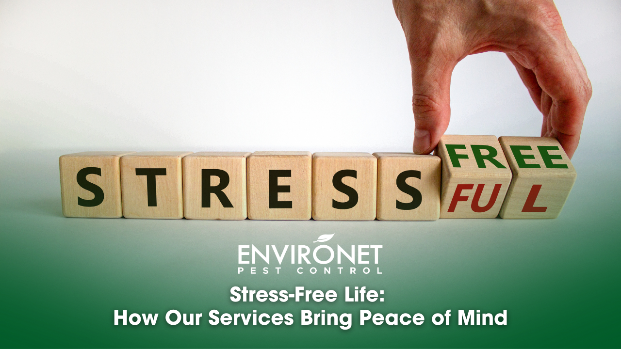 stress-free wooden blocks