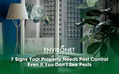 7 Signs Your Property Needs Pest Control Even If You Don’t See Pests