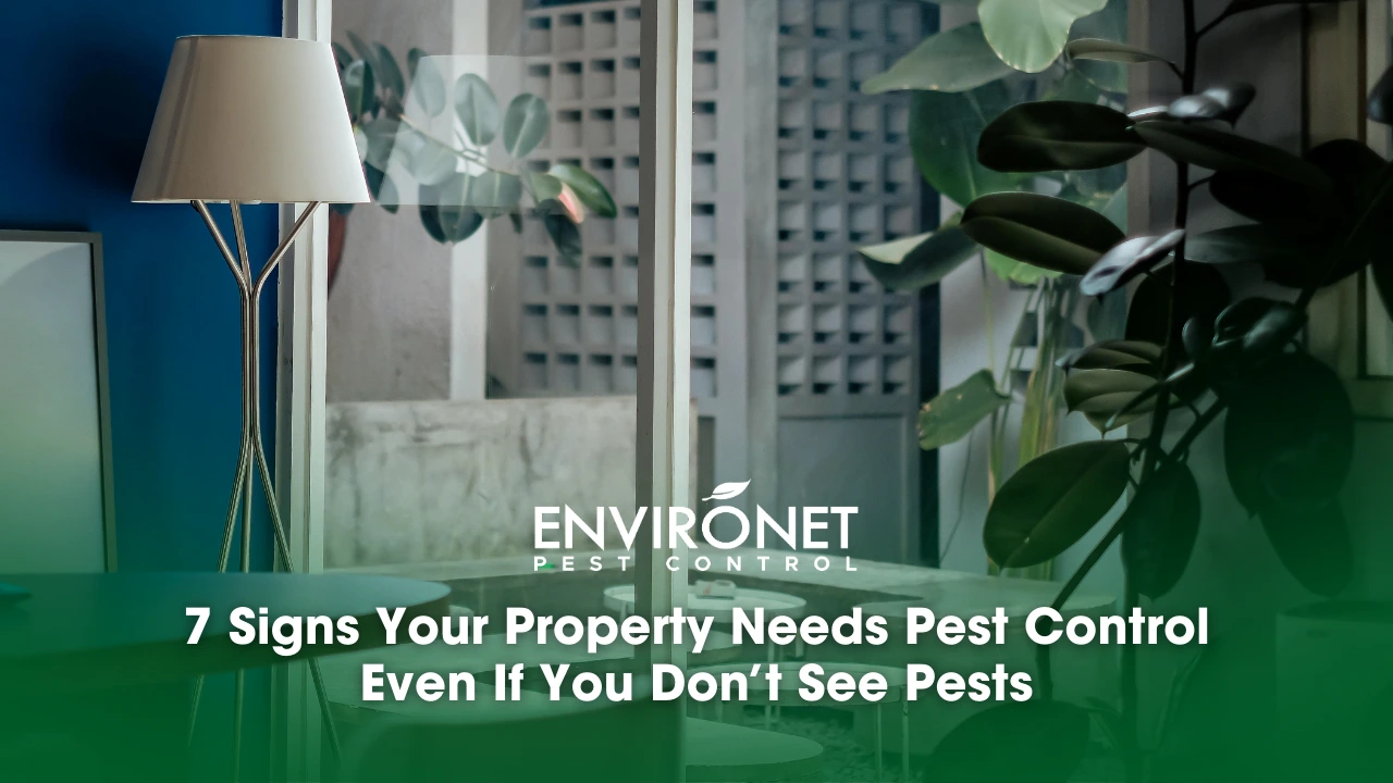 a clean and pest-free commercial space