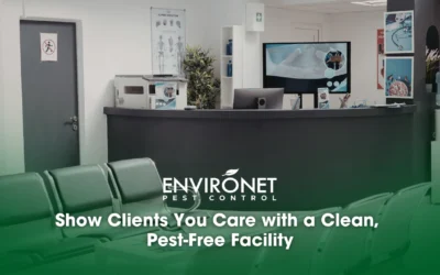 Show Clients You Care with a Clean, Pest-Free Facility