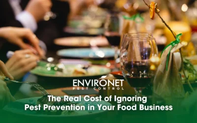 The Real Cost of Ignoring Pest Prevention in Your Food Business